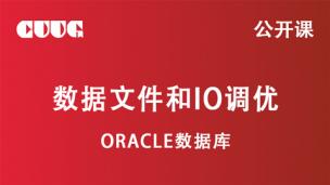 Oracle 技术公开课：数据文件和io调优