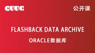 oracle 11g 特性 Flashback Datta Archive