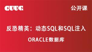 反恐精英：动态SQL和SQL注入