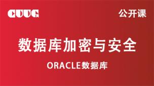 Oracle数据库加密与安全